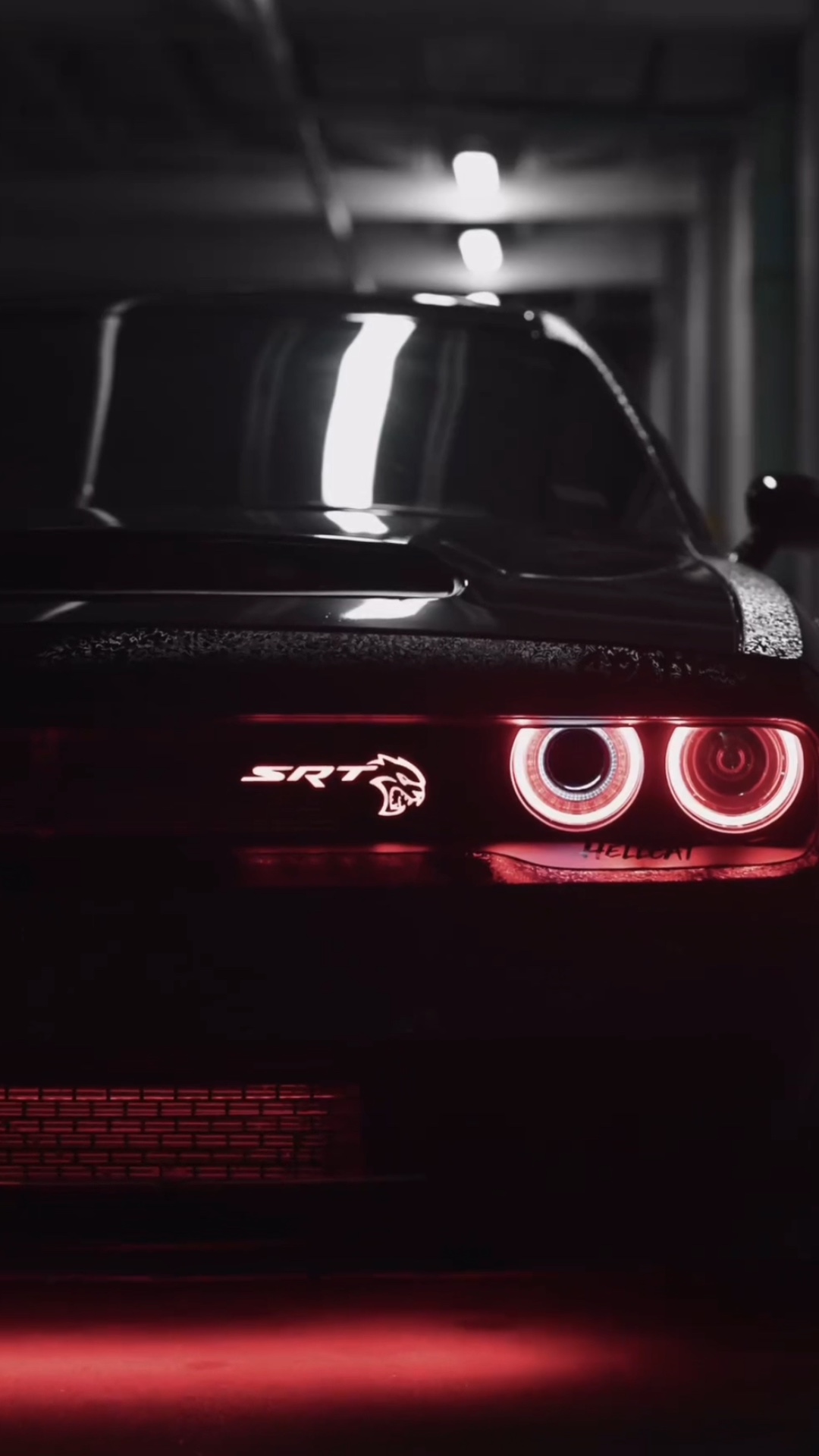 CAREDIT | 2VIDEO🔥