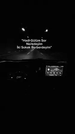 Sor Gülüm Nerdeyim