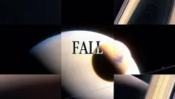 fall in love