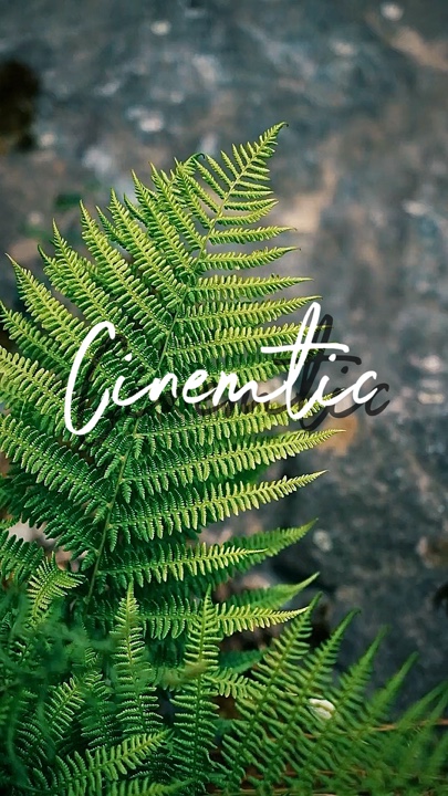 Cinematic HD