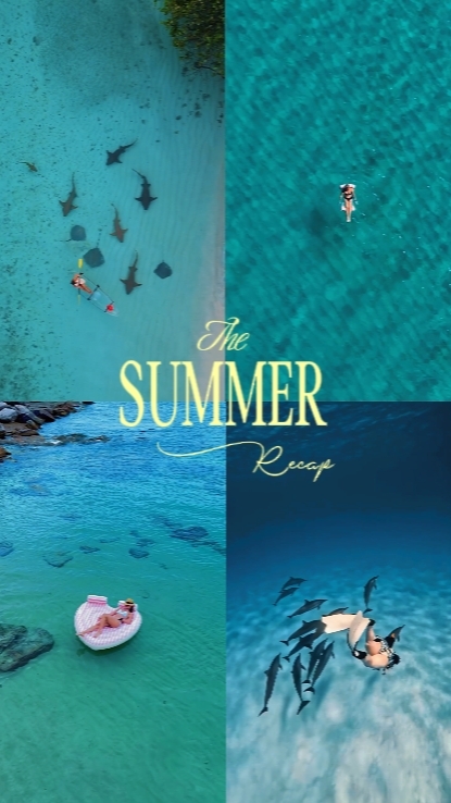 Summer Recap 