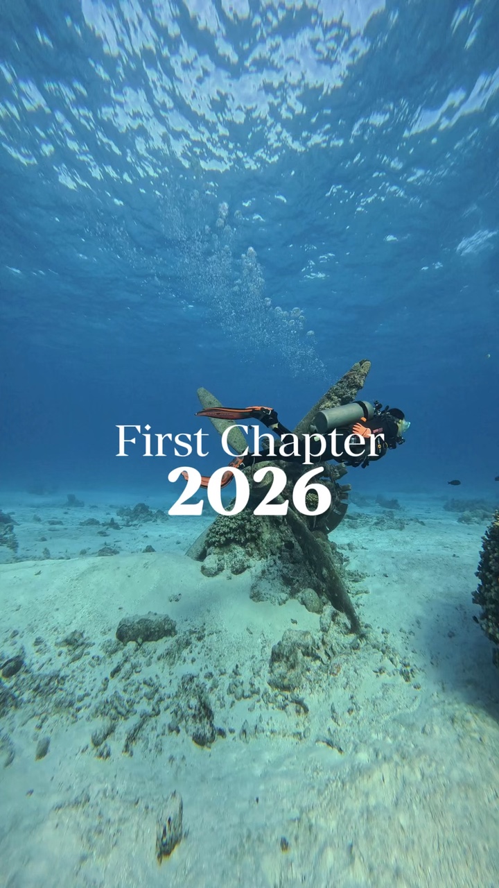 First Chapter 2026
