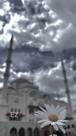 Keşfet çapçut
