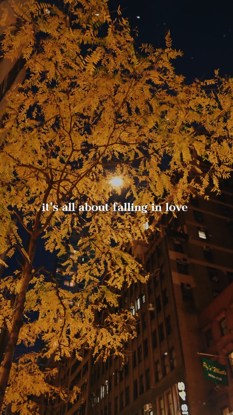 In love quotes 