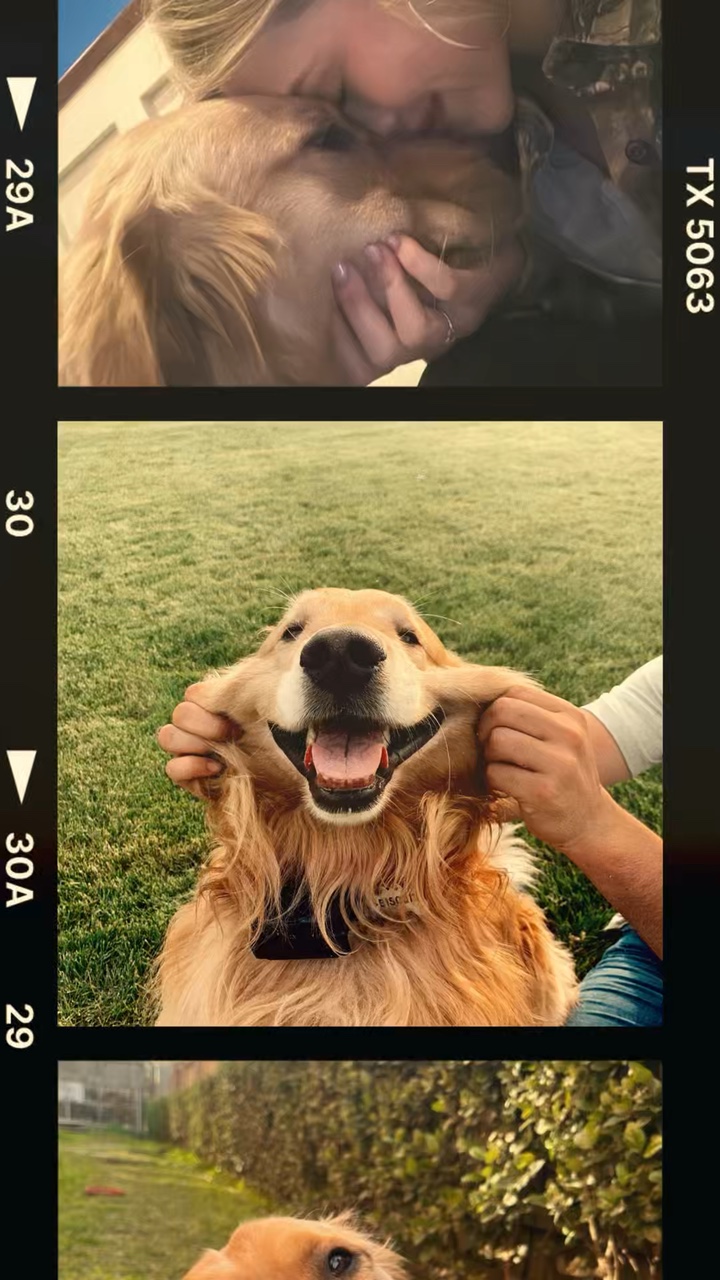 Ich liebe meinen Hund