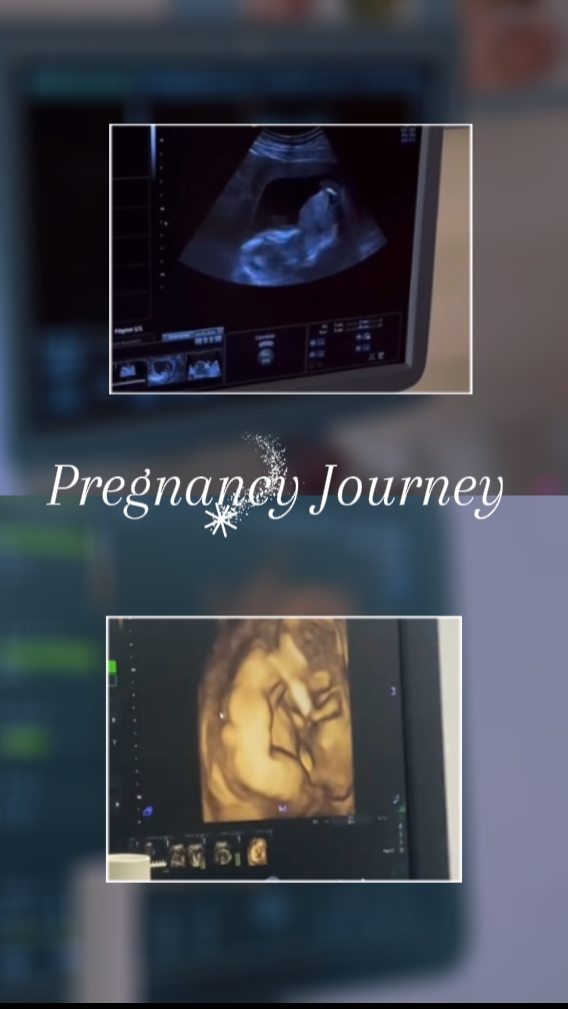 pregnancy Journey 