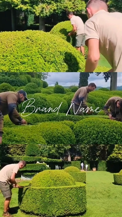 Berkebun