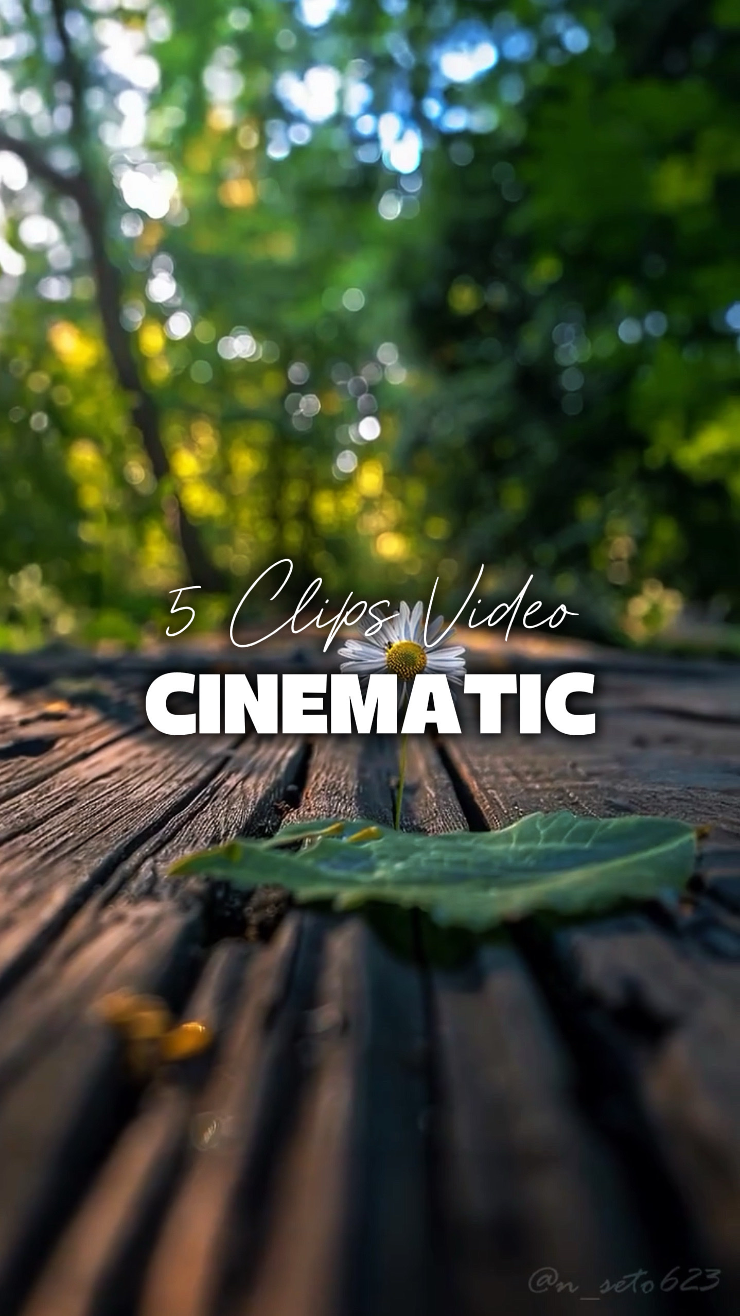 5 Videos Cinematic 