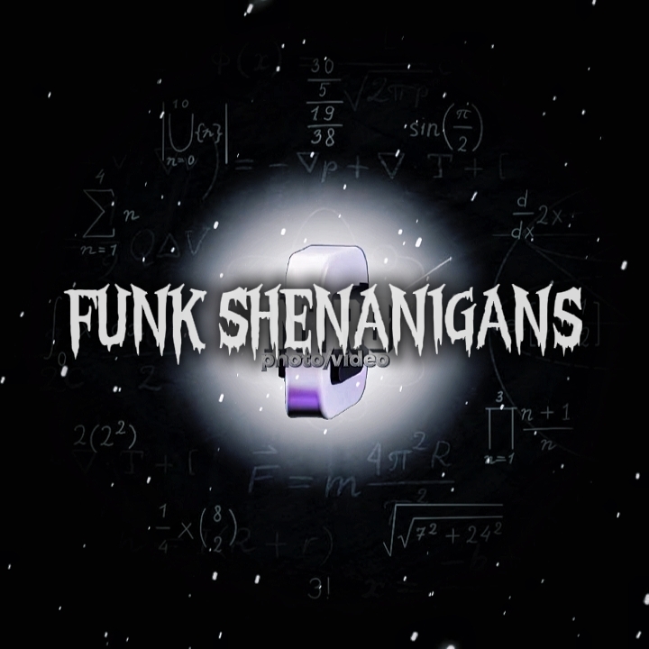 SHENANIGAN FUNK