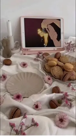 mini vlog 