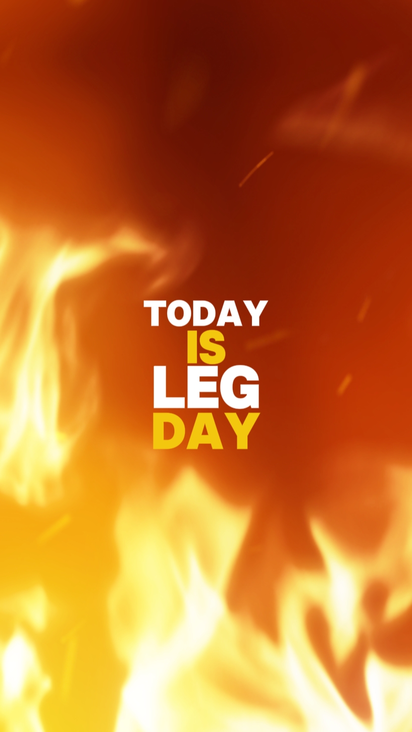Leg Day Workout