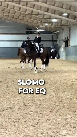 Equestrian