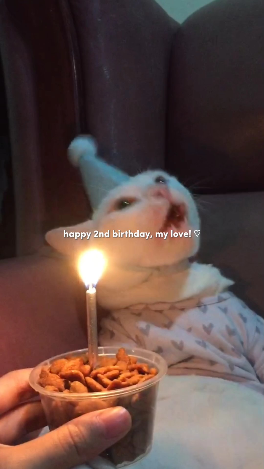Happy birthday!