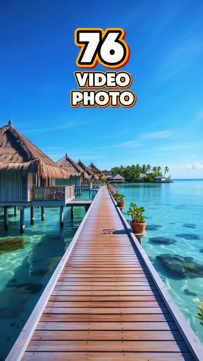 76 video o foto 