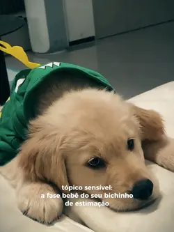 trend animalzinho