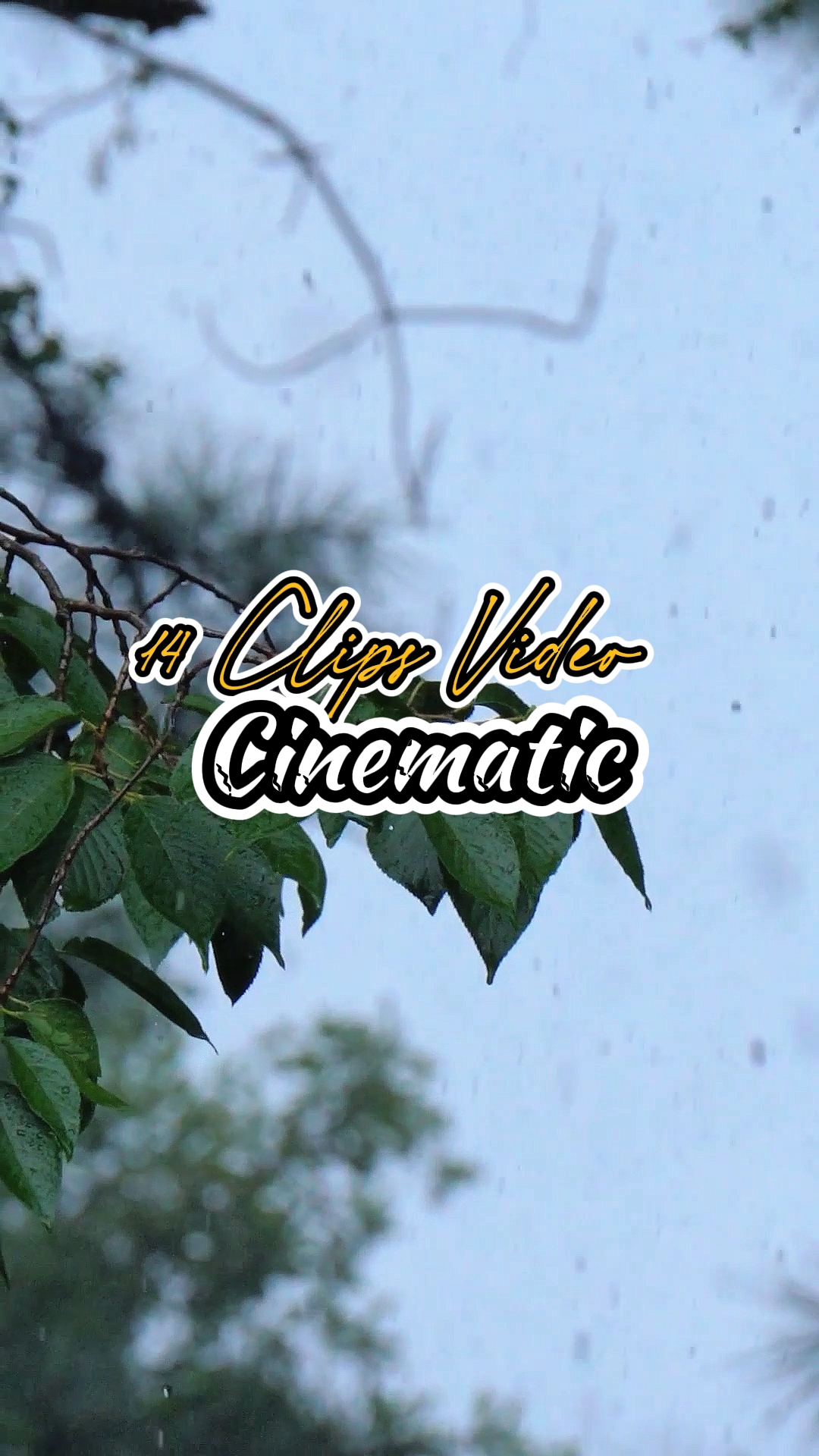 14 Clipes Vídeos
