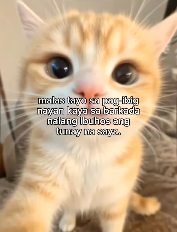 malas tayo jan eh 