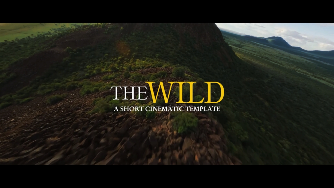 The Wildlife 