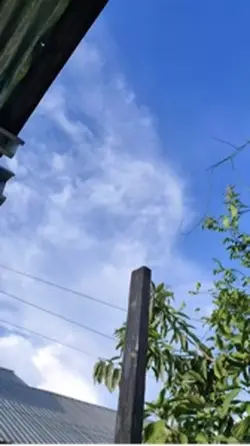 motor cowo minimal