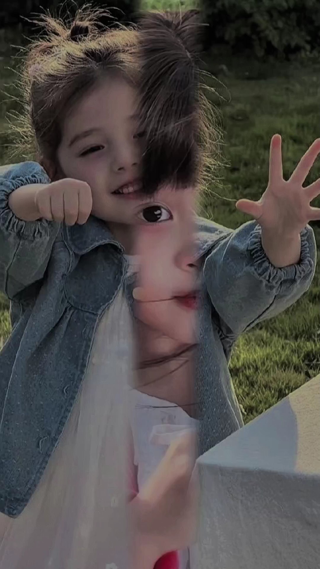 노바 뉴 크리에이터