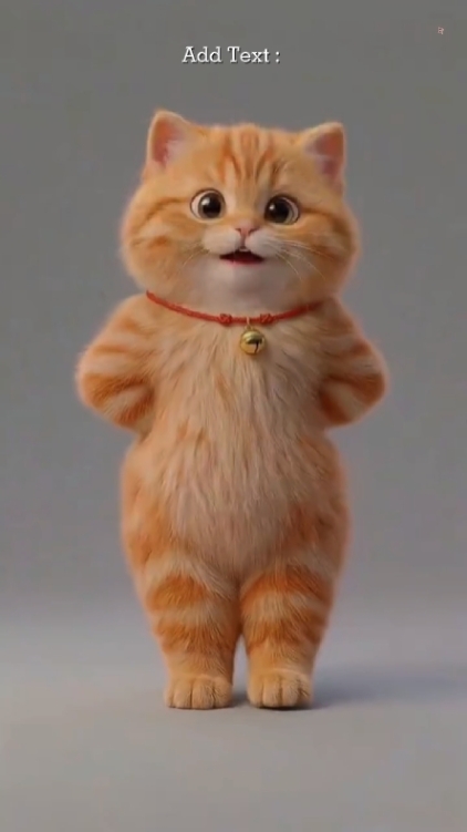 귀여운 고양이 _