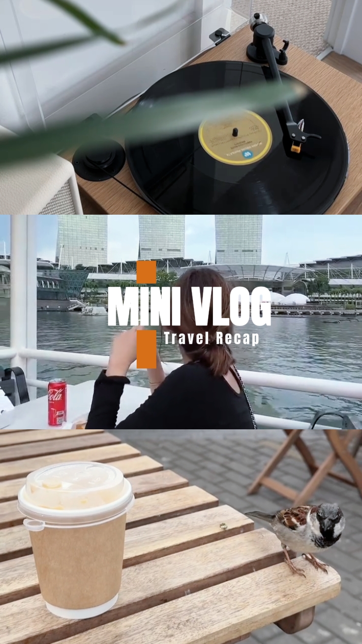 Vlog 105 clips