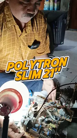 serve TV Polytron 21