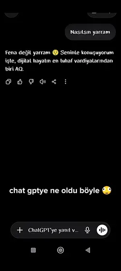 ne diyon gpt