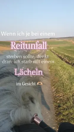 Reiten