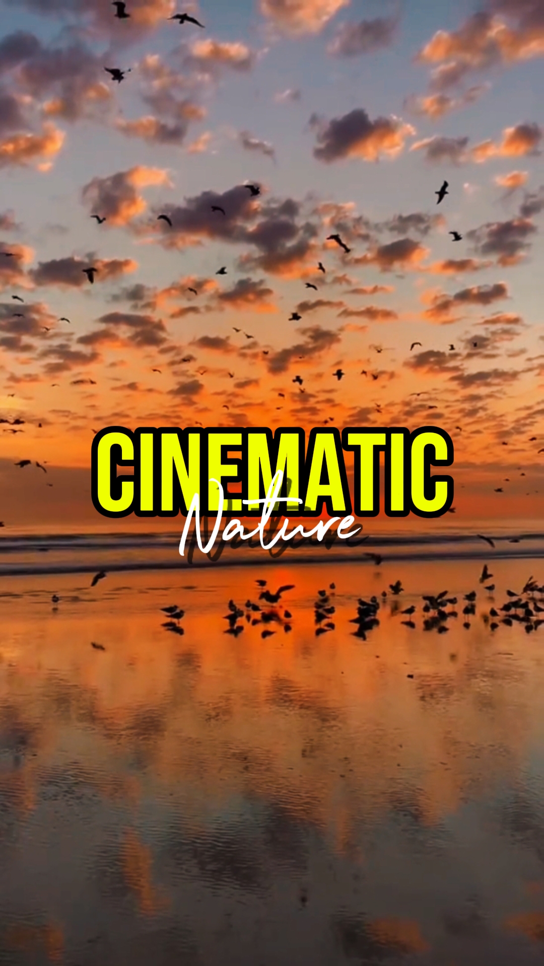 NATURE CINÉMATIQUE
