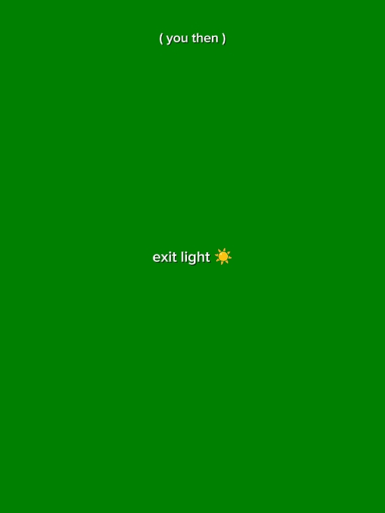 exit light 