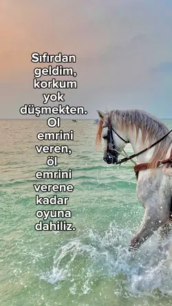 yeni akimm