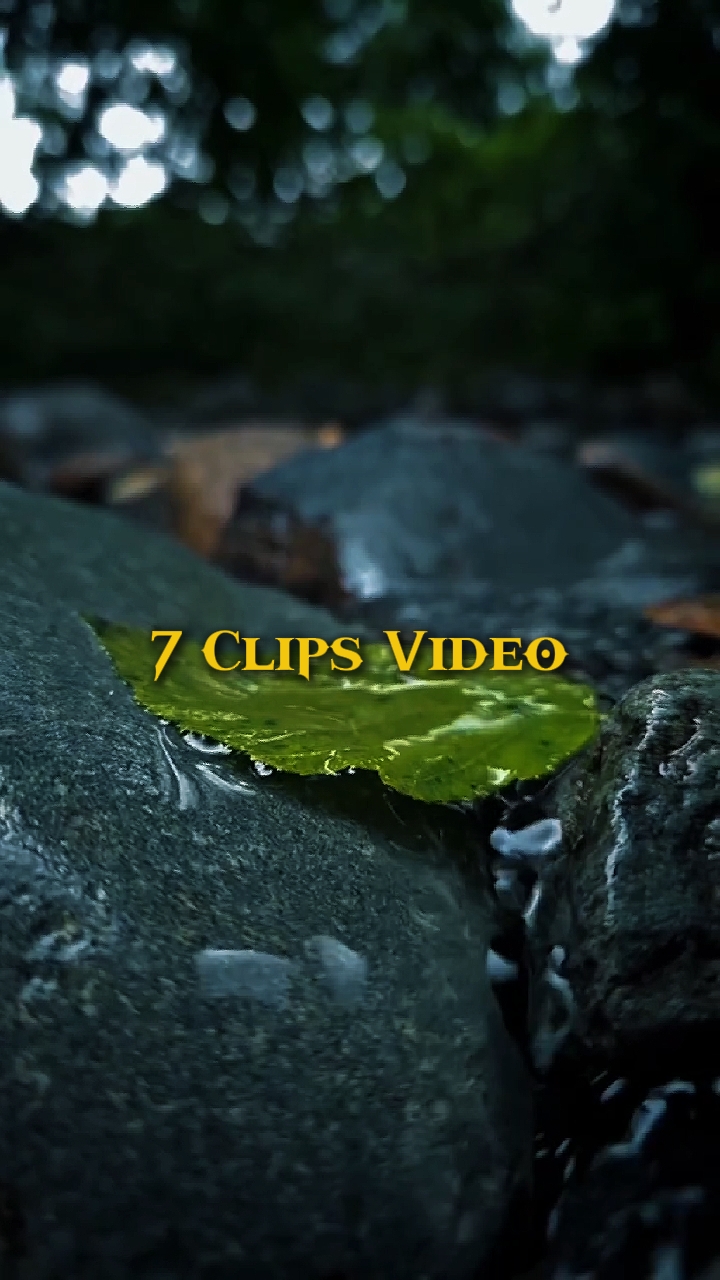 7 video cinematic