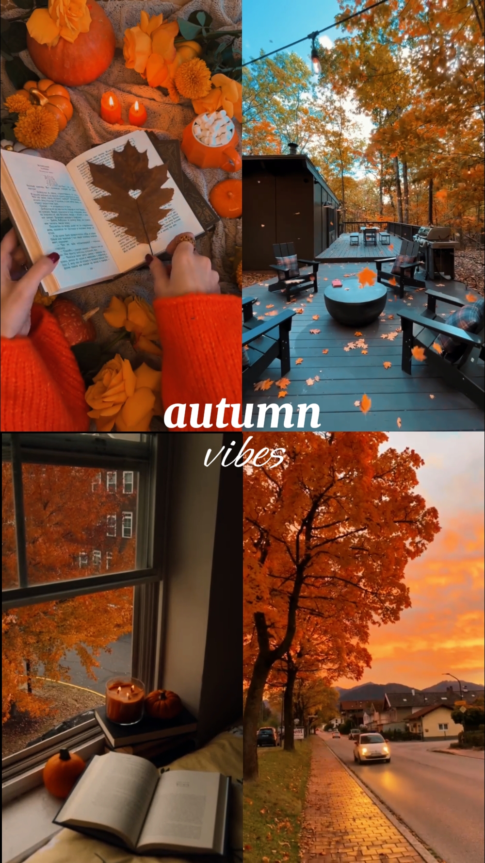 autumn vibes