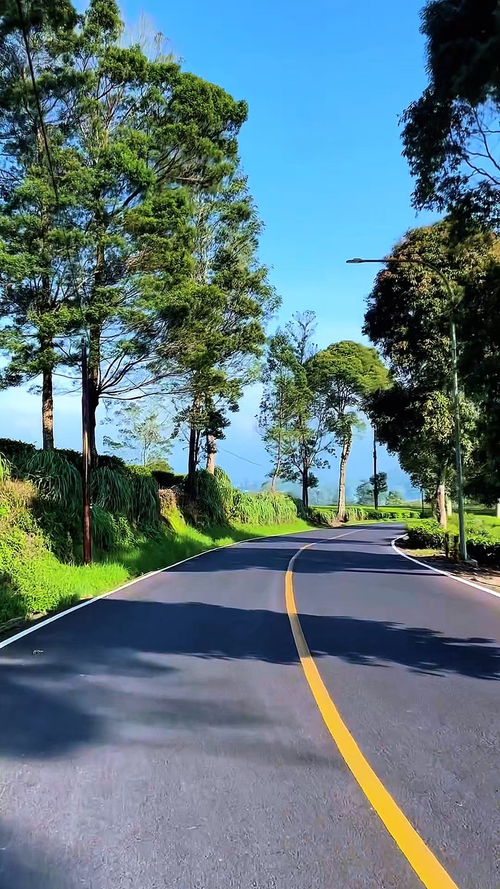 4 video road