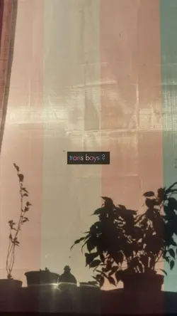 trans boys