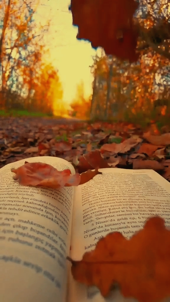 Fall Season