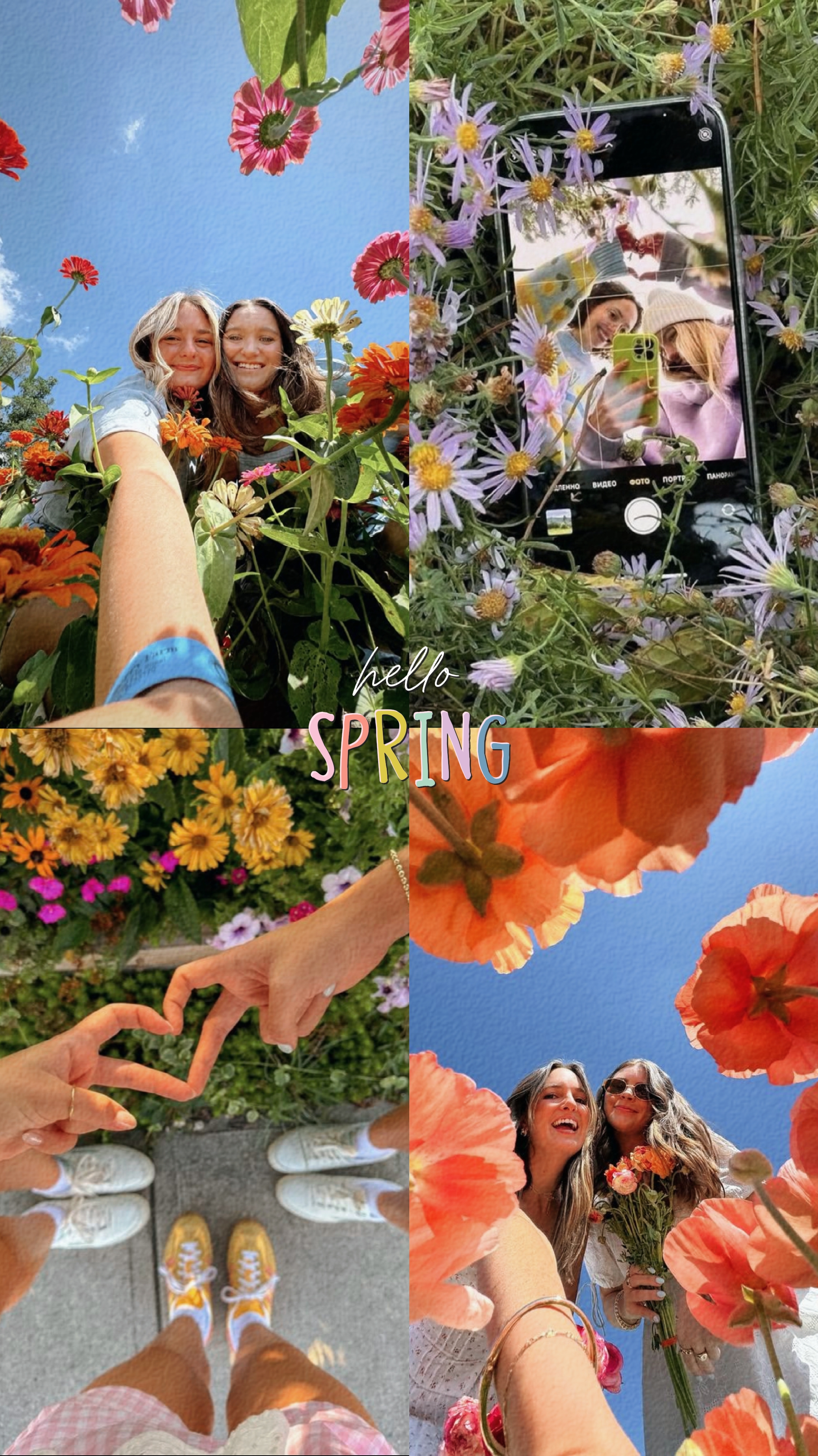 Hola primavera