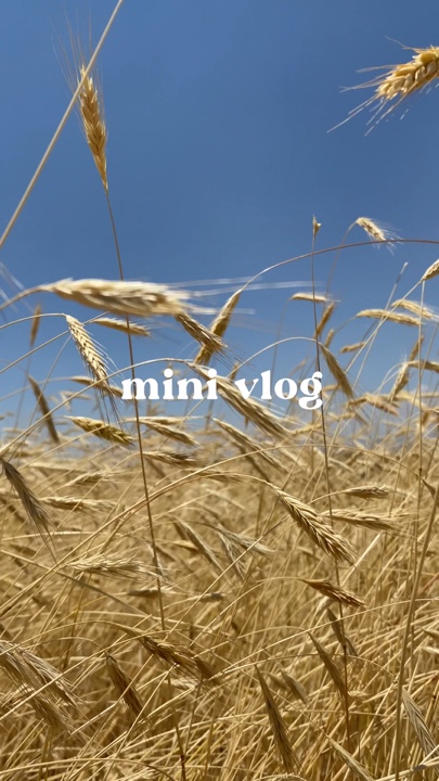 vlog mini