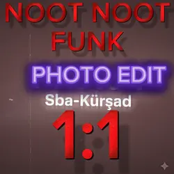 NOOT NOOT FUNK 1:1