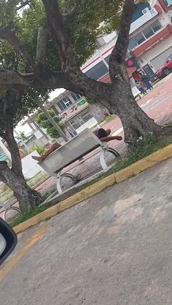 Yo solo quiero
