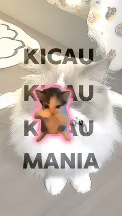 kucing mania 