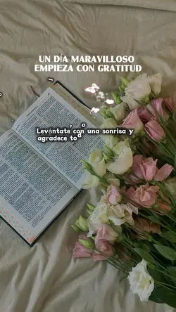 Gracias Dios 🙏✨🤍