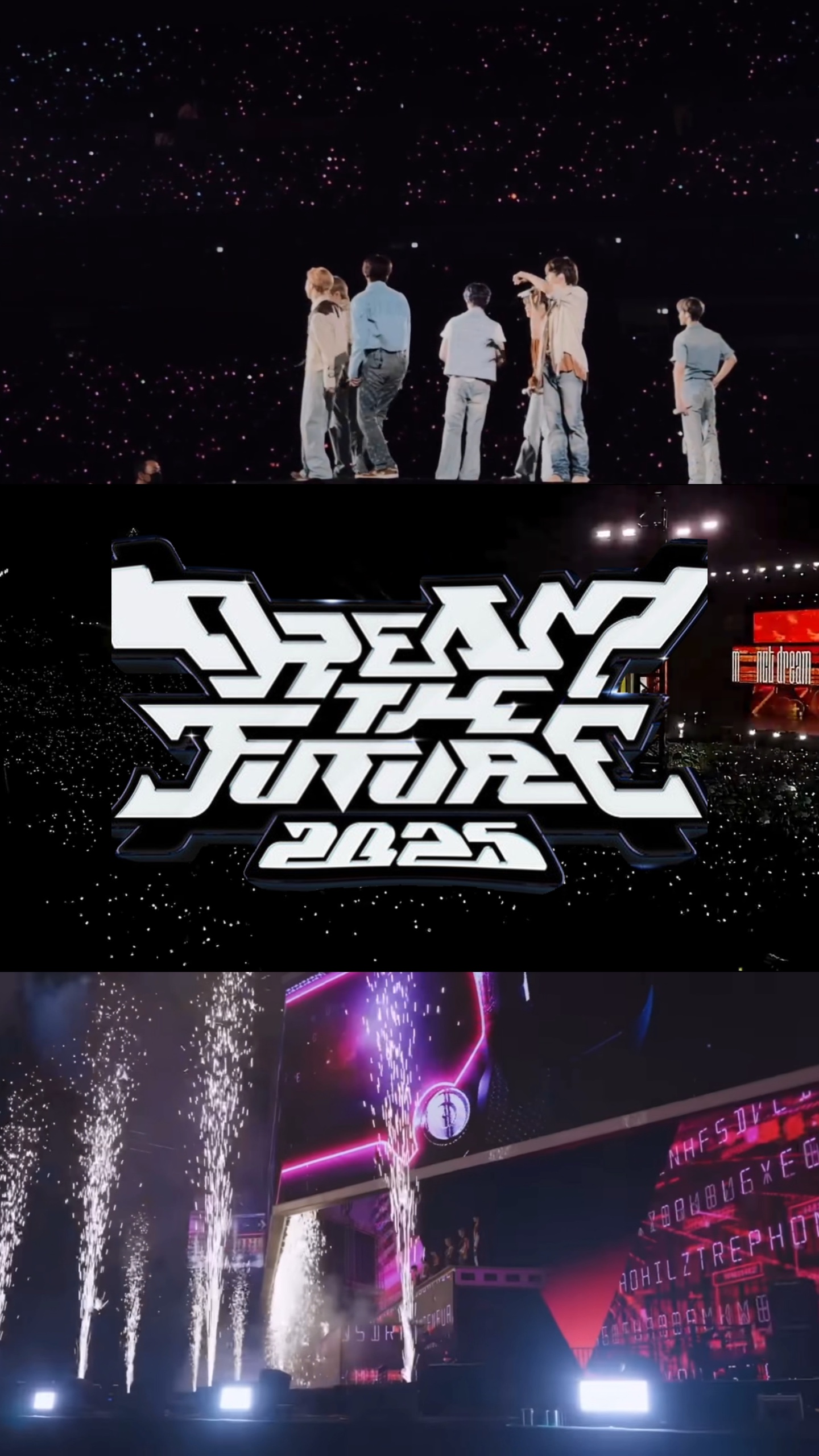 NCT TDS Dump concert