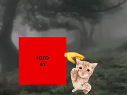 kitty aaaaaa