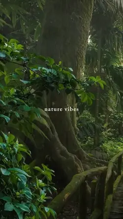 nature vibes 