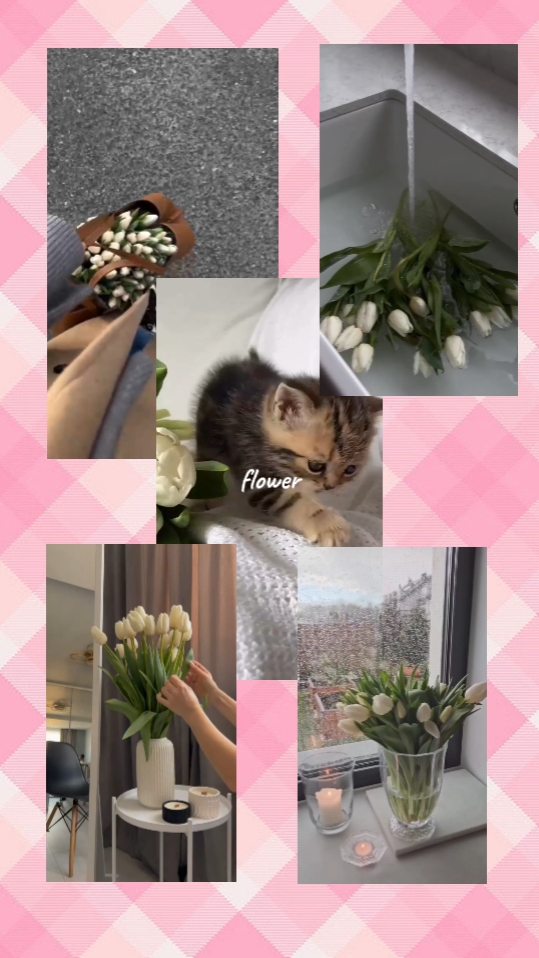 Flor de tulipán 