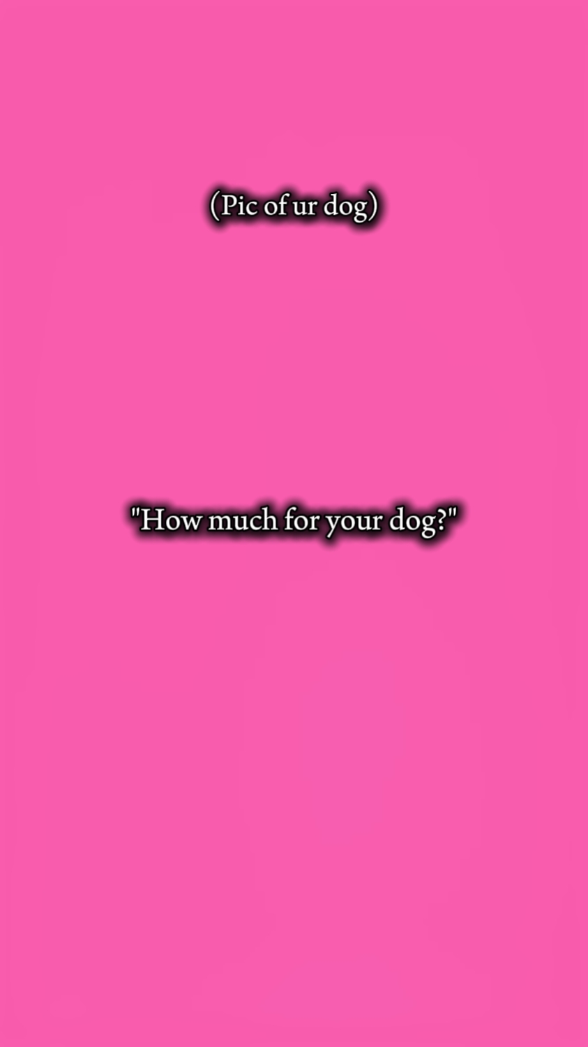 dog
