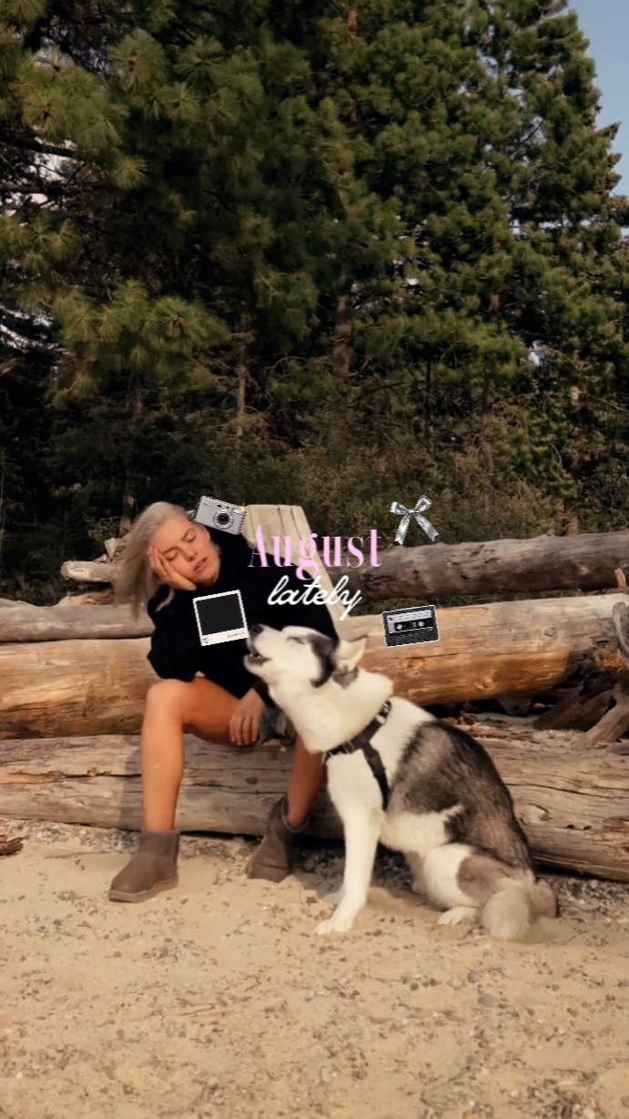 vlog mini 
