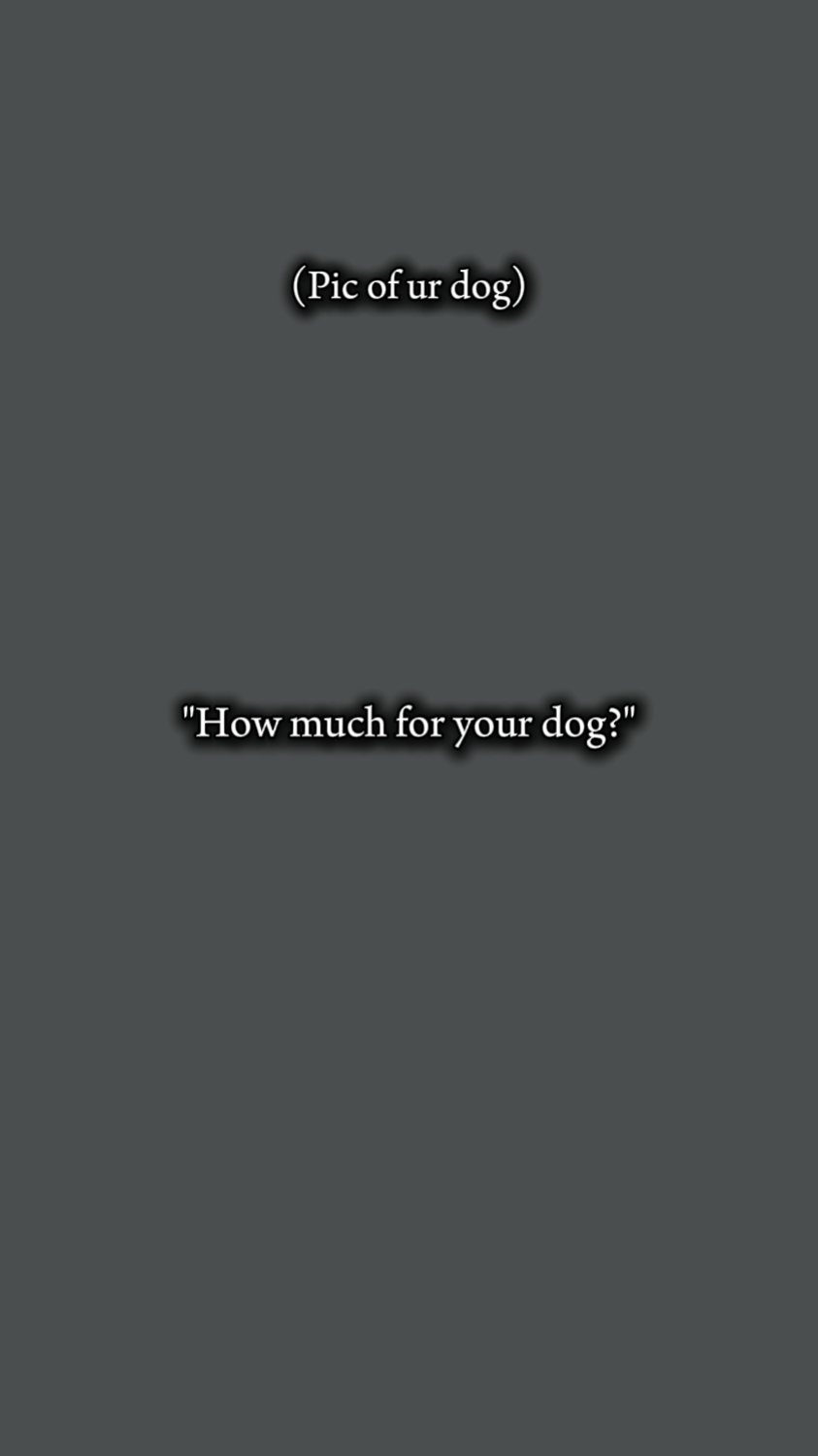 dog